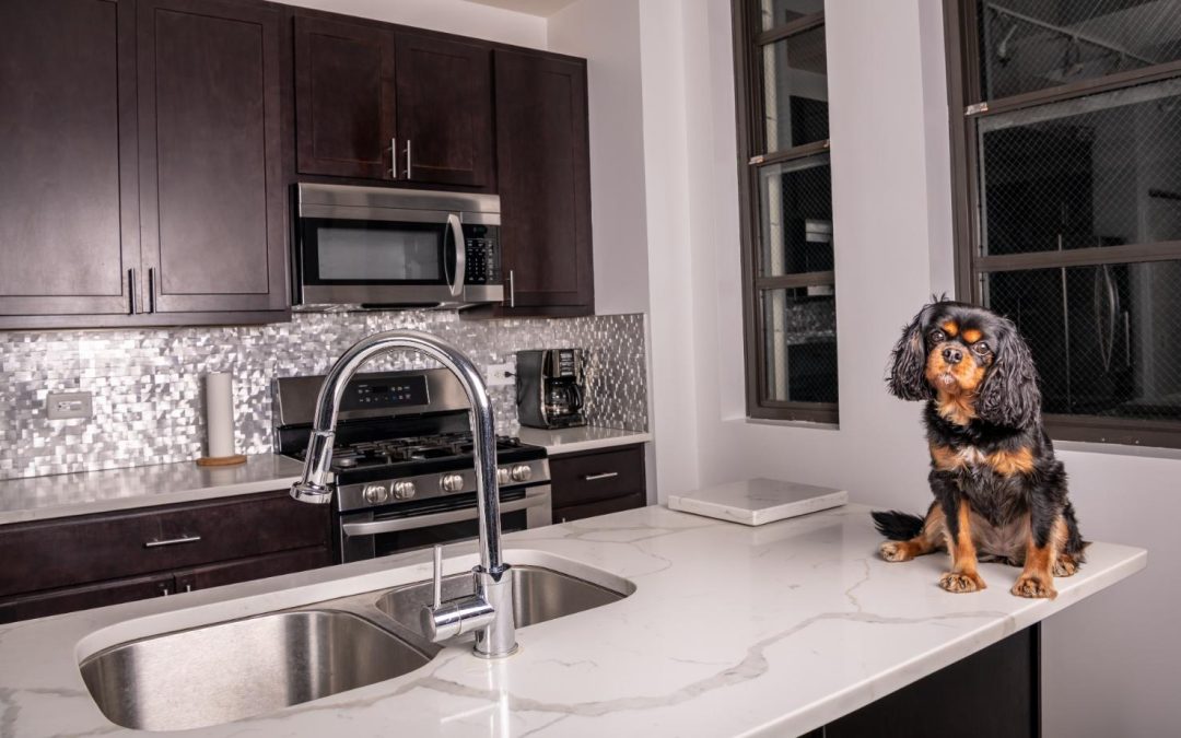 quartz countertop