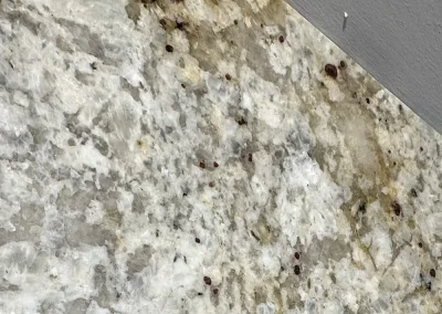 close up granite style stone countertop texture oak park heights